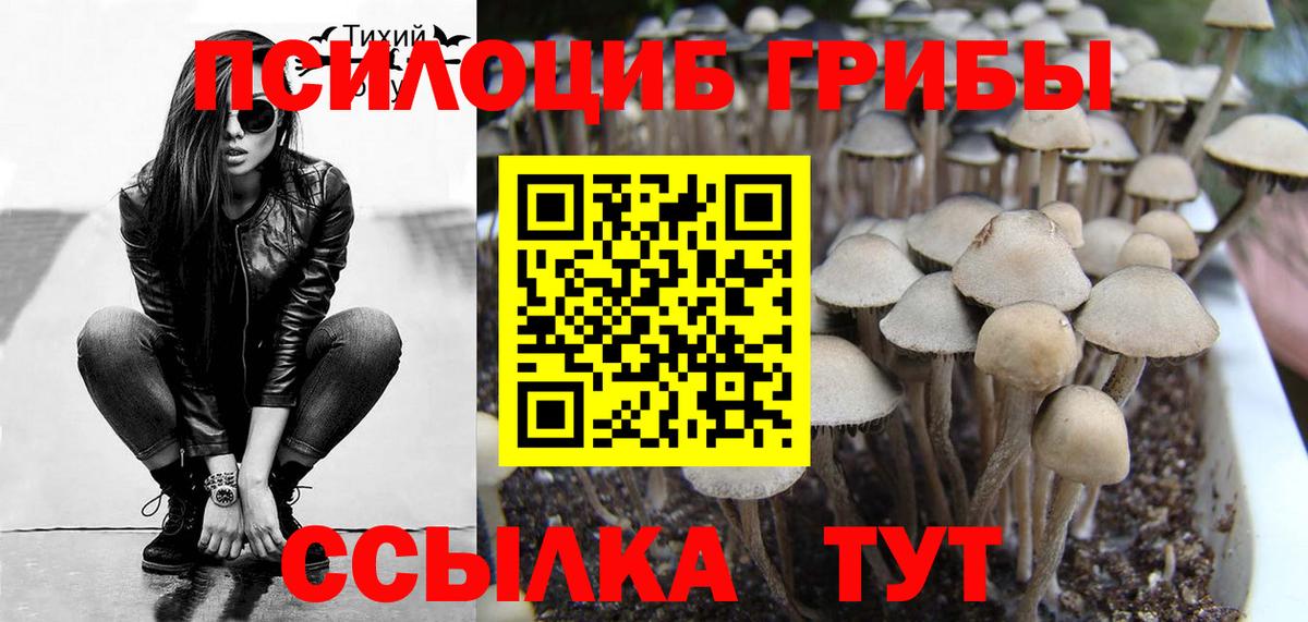 закладка  Вход с VPN  Ростов Великий  Псилоцибиновые грибы Cubensis 